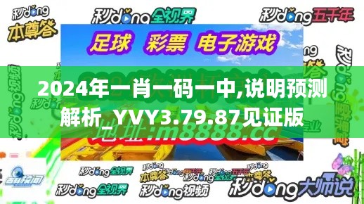 2024年一肖一码一中,说明预测解析_YVY3.79.87见证版