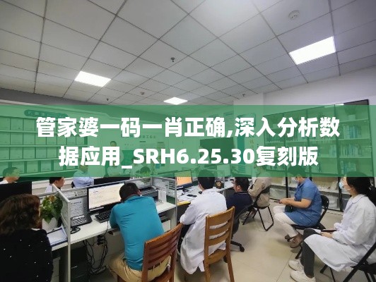 管家婆一码一肖正确,深入分析数据应用_SRH6.25.30复刻版