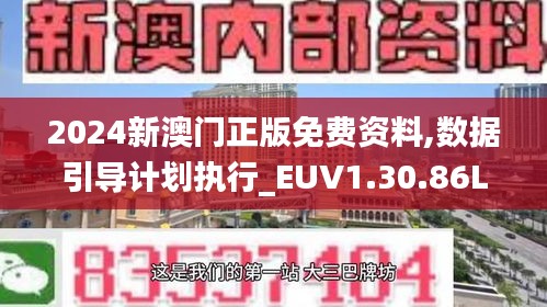 2024新澳门正版免费资料,数据引导计划执行_EUV1.30.86L版