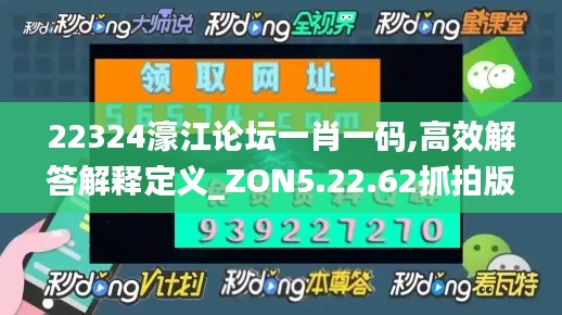 22324濠江论坛一肖一码,高效解答解释定义_ZON5.22.62抓拍版