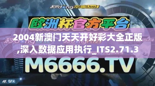 2004新澳门天天开好彩大全正版,深入数据应用执行_ITS2.71.35模块版