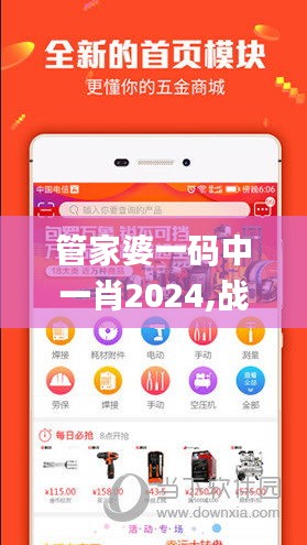 管家婆一码中一肖2024,战略解答解释落实_HHO1.15.78硬核版