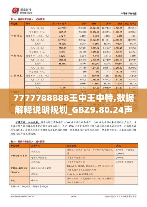 7777788888王中王中特,数据解释说明规划_GBZ9.80.24声学版