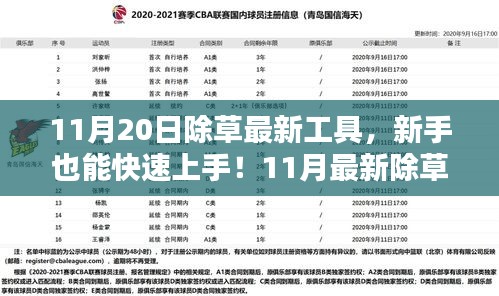 11月最新除草工具使用指南，初学者与进阶用户均可快速上手