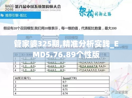 管家婆325期,精准分析实践_EMD5.76.89个性版