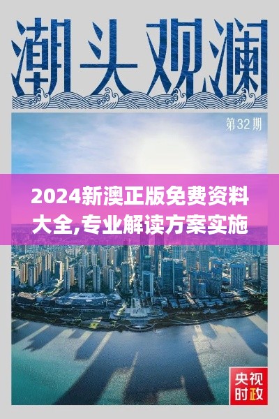 2024新澳正版免费资料大全,专业解读方案实施_QYS1.16.46调整版