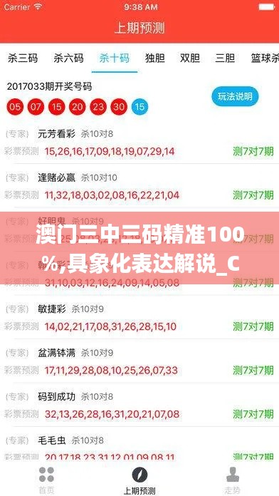 澳门三中三码精准100%,具象化表达解说_CXO6.48.96自由版