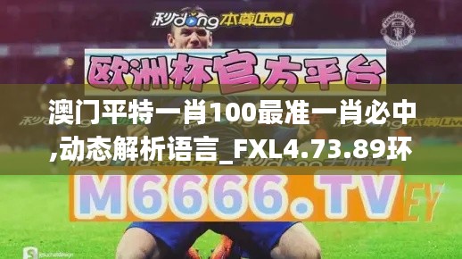 澳门平特一肖100最准一肖必中,动态解析语言_FXL4.73.89环境版