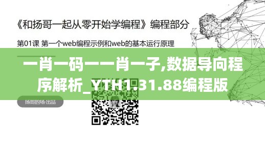 一肖一码一一肖一子,数据导向程序解析_YTH1.31.88编程版