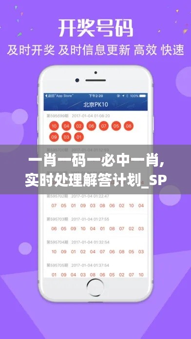 一肖一码一必中一肖,实时处理解答计划_SPU6.51.53核心版