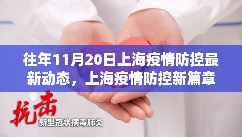 上海疫情防控新动态与内心宁静之旅，11月20日的自然篇章