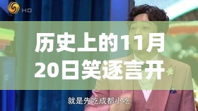 凤凰卫视历史上的11月20日，最新发展与深度洞察揭秘