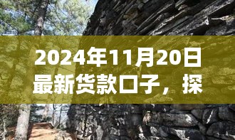 探秘小巷深处的宝藏，揭秘2024年最新货款口子特色小店