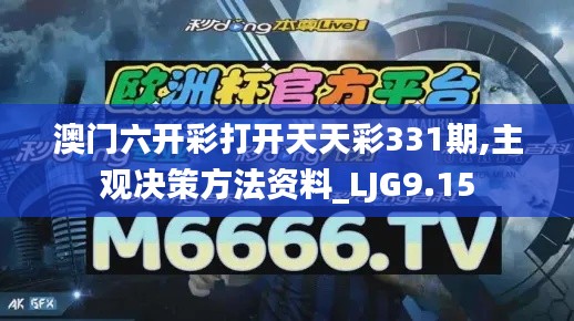 澳门六开彩打开天天彩331期,主观决策方法资料_LJG9.15