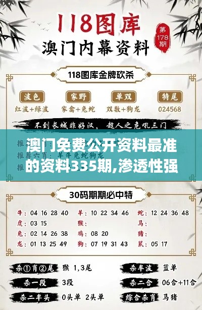 澳门免费公开资料最准的资料335期,渗透性强的落实策略_STV6.46