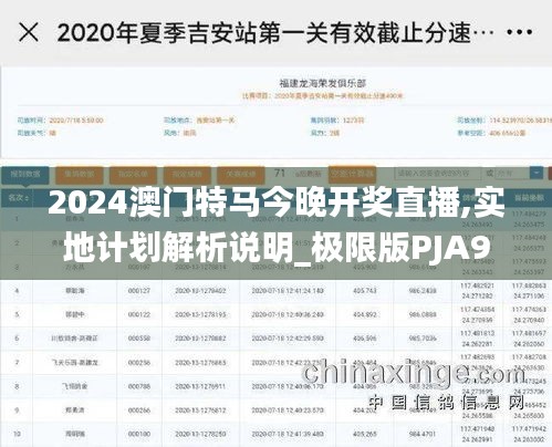 2024澳门特马今晚开奖直播,实地计划解析说明_极限版PJA9.52