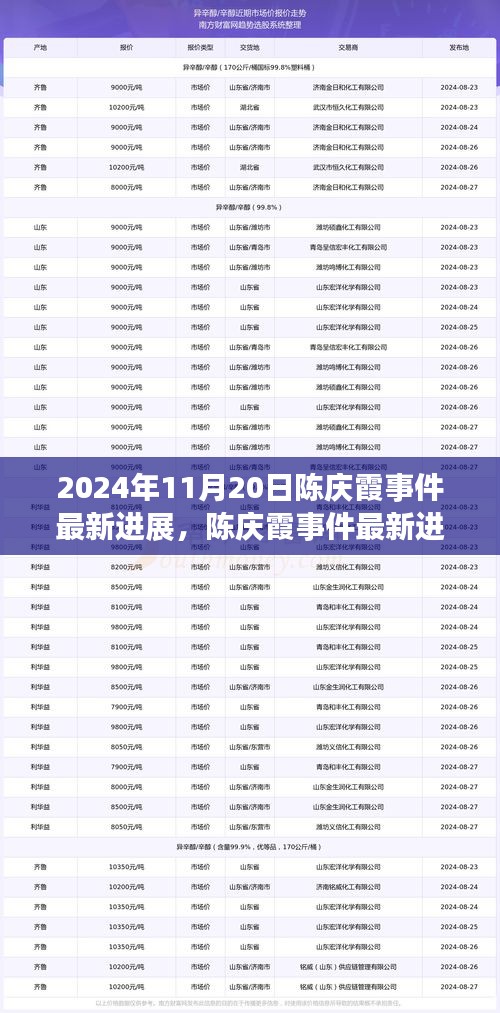 陈庆霞事件最新进展报告，最新更新（XXXX年XX月XX日）