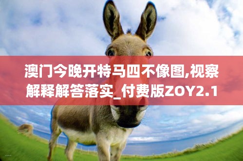 澳门今晚开特马四不像图,视察解释解答落实_付费版ZOY2.10