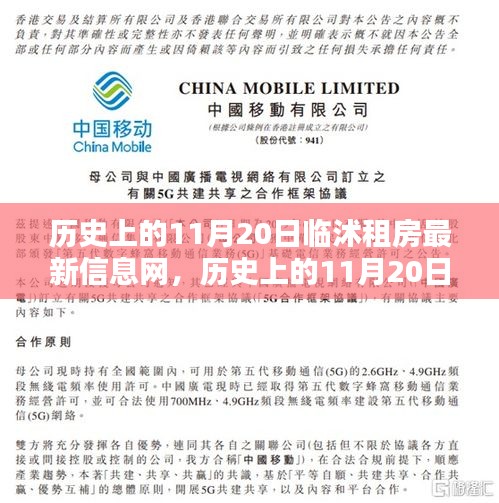 历史上的11月20日临沭租房最新信息深度解析与评测