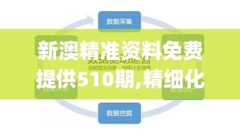 新澳精准资料免费提供510期,精细化解析策略探讨_按需版IGO4.41