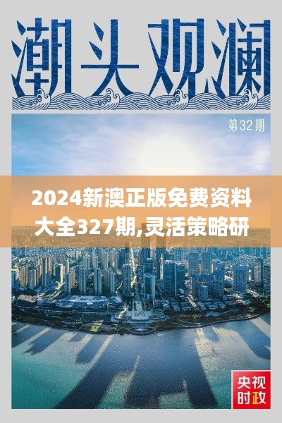 2024新澳正版免费资料大全327期,灵活策略研究适配_WGY6.20