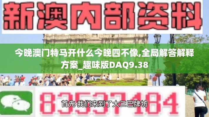 今晚澳门特马开什么今晚四不像,全局解答解释方案_趣味版DAQ9.38