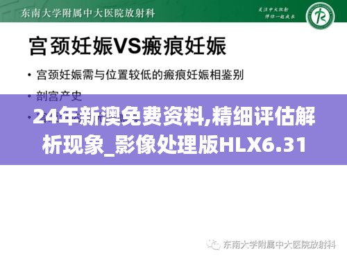 24年新澳免费资料,精细评估解析现象_影像处理版HLX6.31