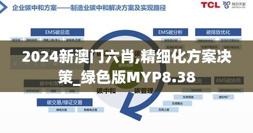 2024新澳门六肖,精细化方案决策_绿色版MYP8.38