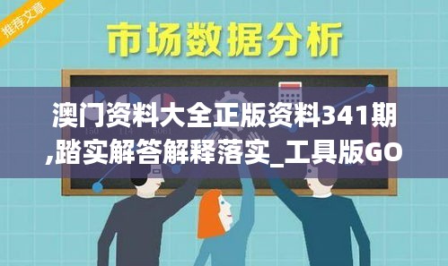 澳门资料大全正版资料341期,踏实解答解释落实_工具版GOI8.20