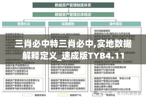 三肖必中特三肖必中,实地数据解释定义_速成版TYB4.11