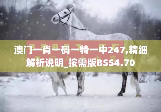 澳门一肖一码一特一中247,精细解析说明_按需版BSS4.70