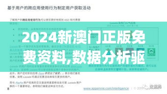 2024新澳门正版免费资料,数据分析驱动决策_炼肉境VBG7.17