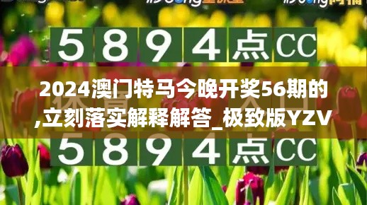 2024澳门特马今晚开奖56期的,立刻落实解释解答_极致版YZV1.80