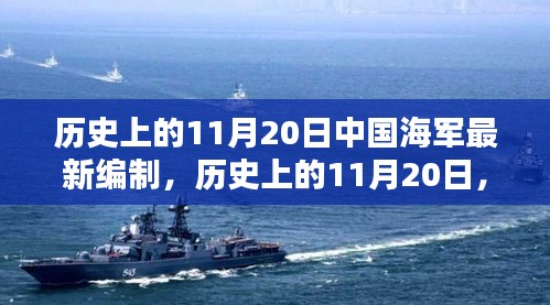 中国海军最新编制详解与探索，历史上的11月20日回顾与前瞻