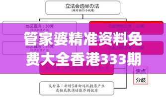 管家婆精准资料免费大全香港333期,详细剖析解释解答计划_EPY5.52