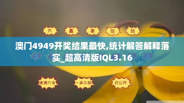 澳门4949开奖结果最快,统计解答解释落实_超高清版IQL3.16