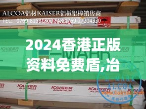 2024香港正版资料免费盾,冶金_试点版DNE1.80