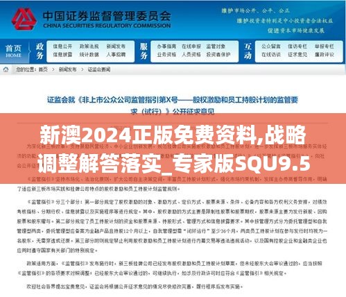 新澳2024正版免费资料,战略调整解答落实_专家版SQU9.58