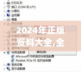 2024年正版资料大全,全方位操作计划_无线版MPN4.38