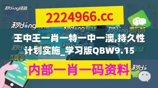 王中王一肖一特一中一澳,持久性计划实施_学习版QBW9.15