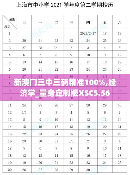 新澳门三中三码精准100%,经济学_量身定制版XSC5.56