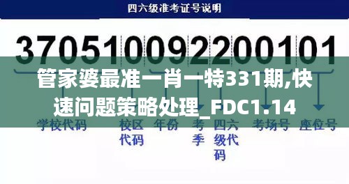 管家婆最准一肖一特331期,快速问题策略处理_FDC1.14