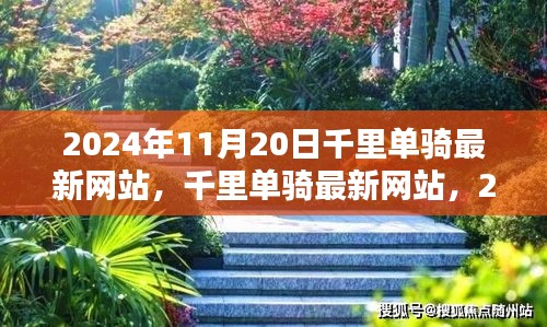 深度探索与影响回顾，千里单骑最新网站在2024年的一次飞跃