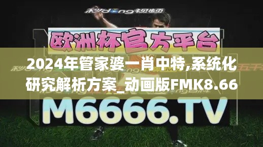 2024年管家婆一肖中特,系统化研究解析方案_动画版FMK8.66