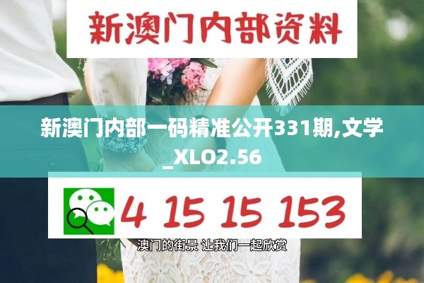 新澳门内部一码精准公开331期,文学_XLO2.56