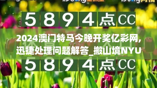 2024澳门特马今晚开奖亿彩网,迅捷处理问题解答_搬山境NYU6.10