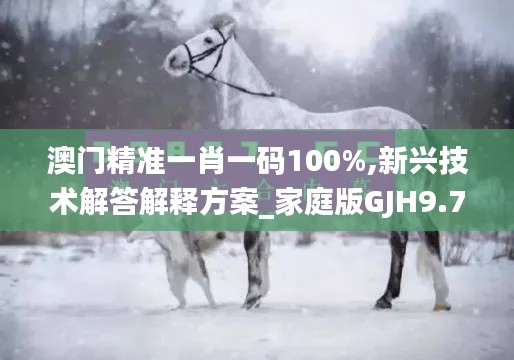 澳门精准一肖一码100%,新兴技术解答解释方案_家庭版GJH9.72