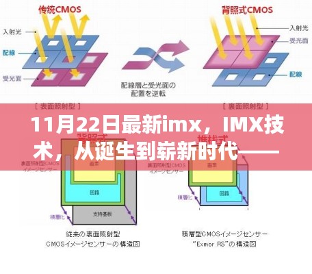 IMX技术深度洞察，从诞生到崭新时代的演变（11月22日最新）