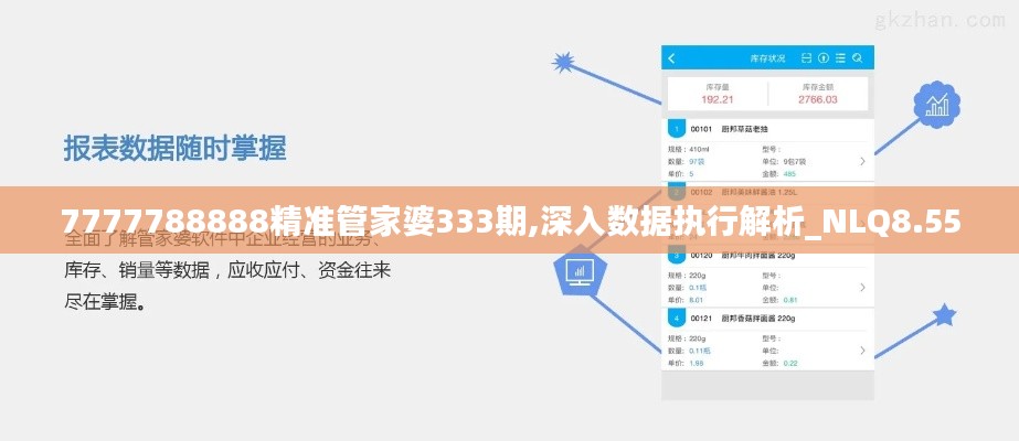 7777788888精准管家婆333期,深入数据执行解析_NLQ8.55
