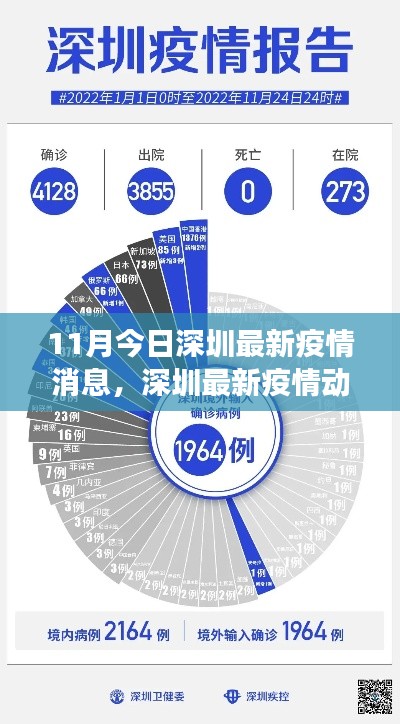 深圳最新疫情动态解析，深度观察与评估（11月最新消息）